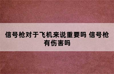 信号枪对于飞机来说重要吗 信号枪有伤害吗